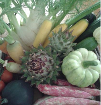 Vegetable_Selection.jpg