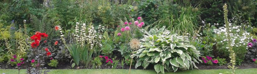 Flower_Border.jpg