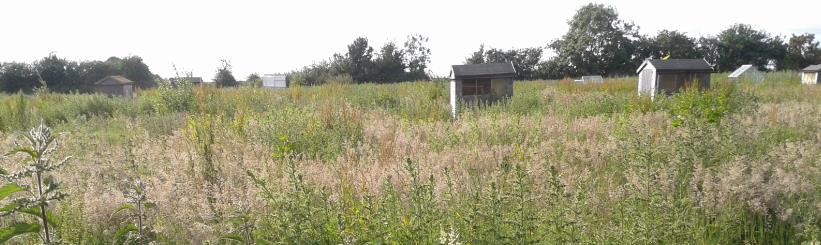 Worlds_End_Allotment_Site_June_2014.jpg