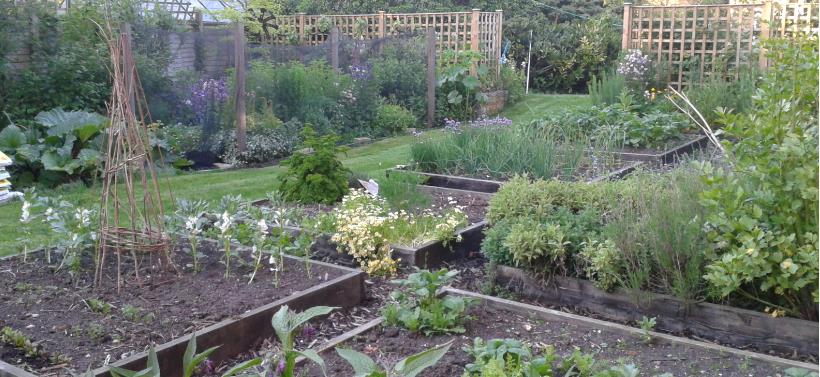 Raised_Beds.jpg