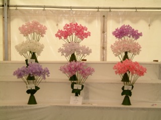 Sweet_Peas_2.jpg