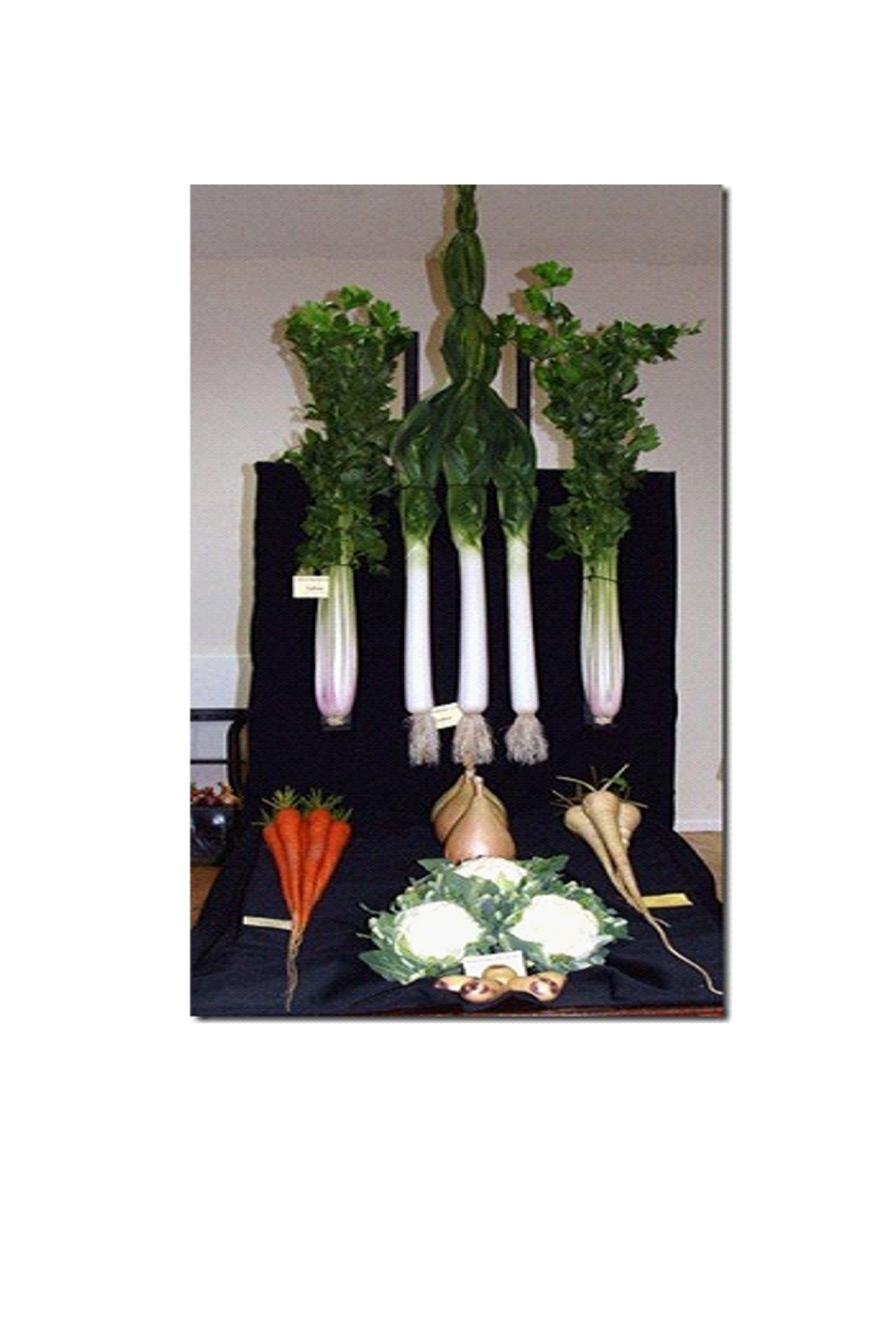 John Branham's Vegetable Display at meeting