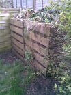 Compost Bin 1