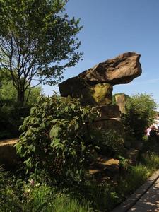 Chelsea Flower Show 2015