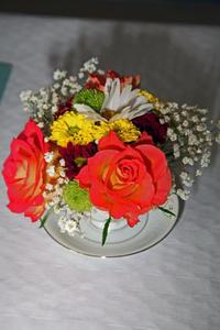 IMG_0123-2
