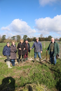 Planting Black Poplars in Park March 2020