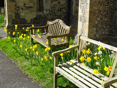 St Michael's Aston Clinton Daffodil Seat